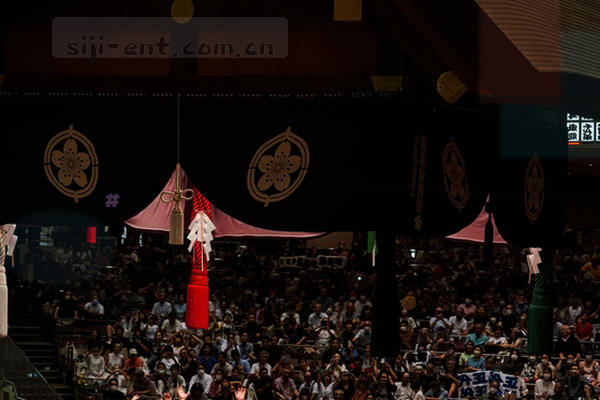 抽象几何图形与数据流，代表体育竞技类娱乐平台